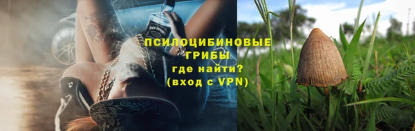 экстази Арсеньев