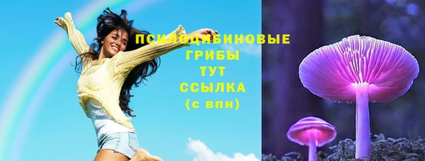 2c-b Аркадак