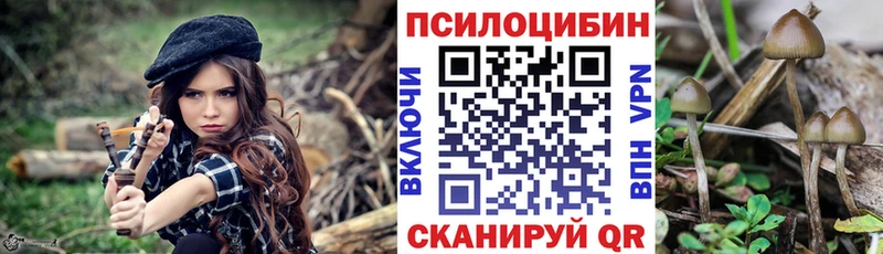 Псилоцибиновые грибы прущие грибы  купить наркотик  Калуга 