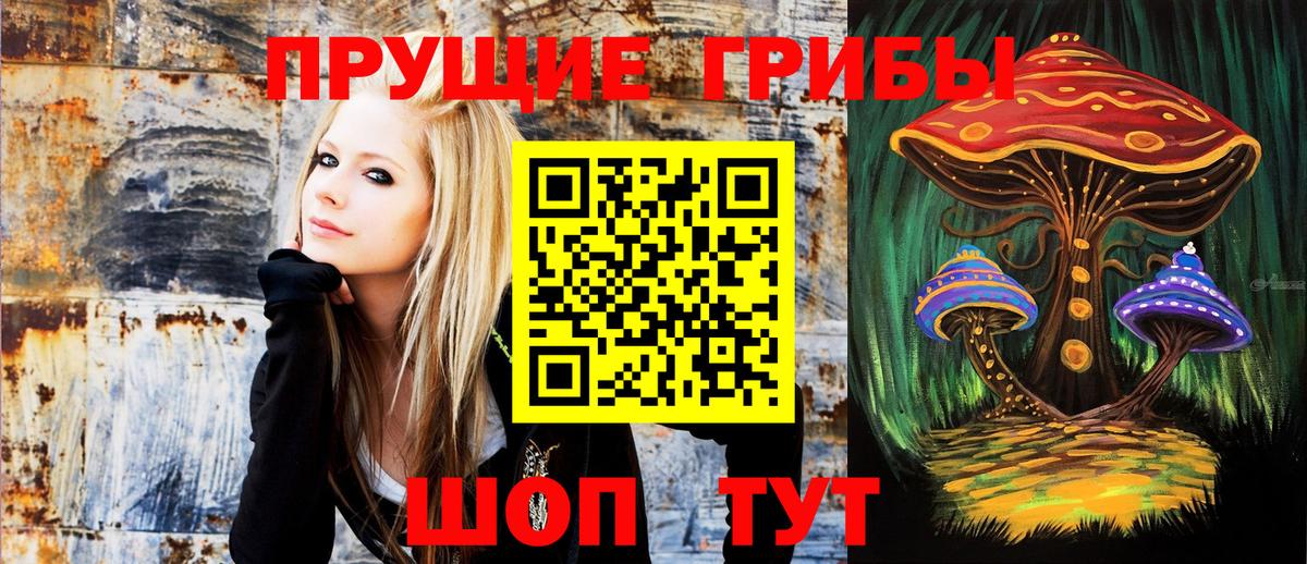 Псилоцибиновые грибы Cubensis Калуга